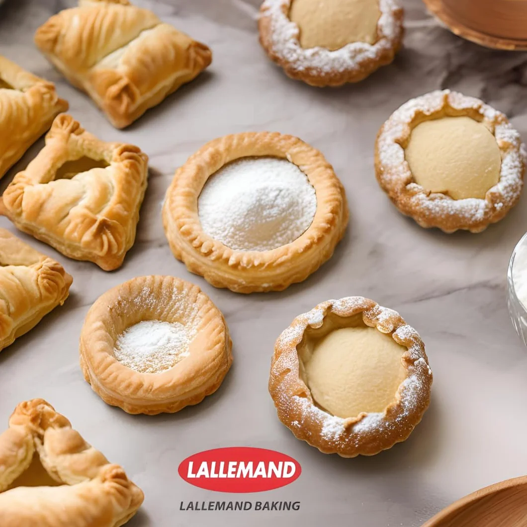 Lallemand Levure sèche de boulanger pour pâtes sucrées (500g) Sans gluten - Vegan - Kasher & Halal