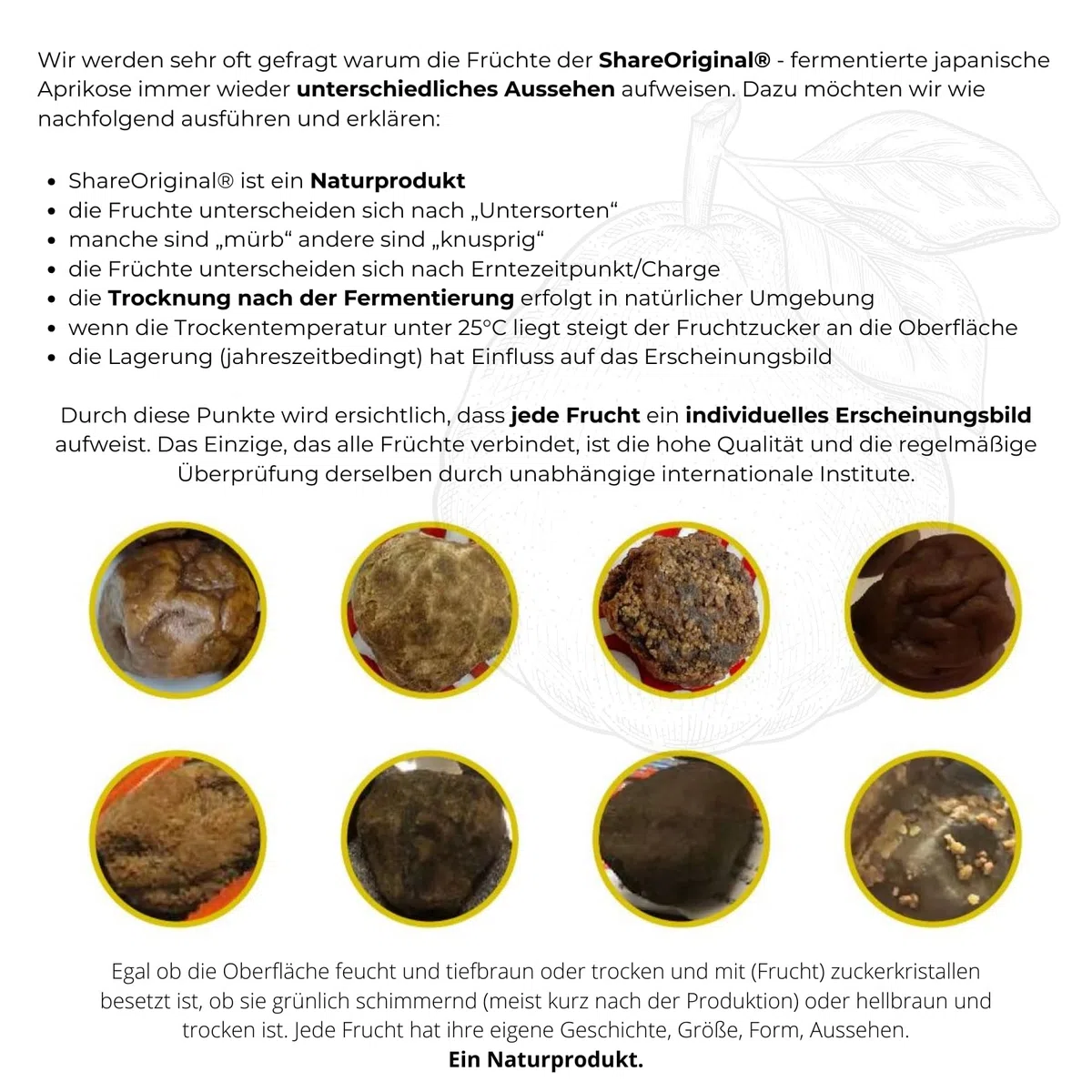 Share Prunes fermentées originales dans un sac écologique de 500 g (30 pièces) - Prune verte fermentée 500 g - Les prunes vertes/abricots japonais sont végétaliens, sans lactose