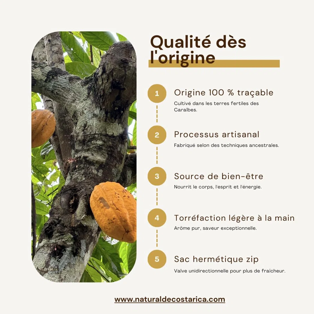 Nibs de cacao 100% pur cacao gourmet artisanal naturel sans sucre originaire des Caraïbes Bribri Costa Rica micro-lots séchés au soleil et torréfiés au feu de bois sachet hermétique avec valve
