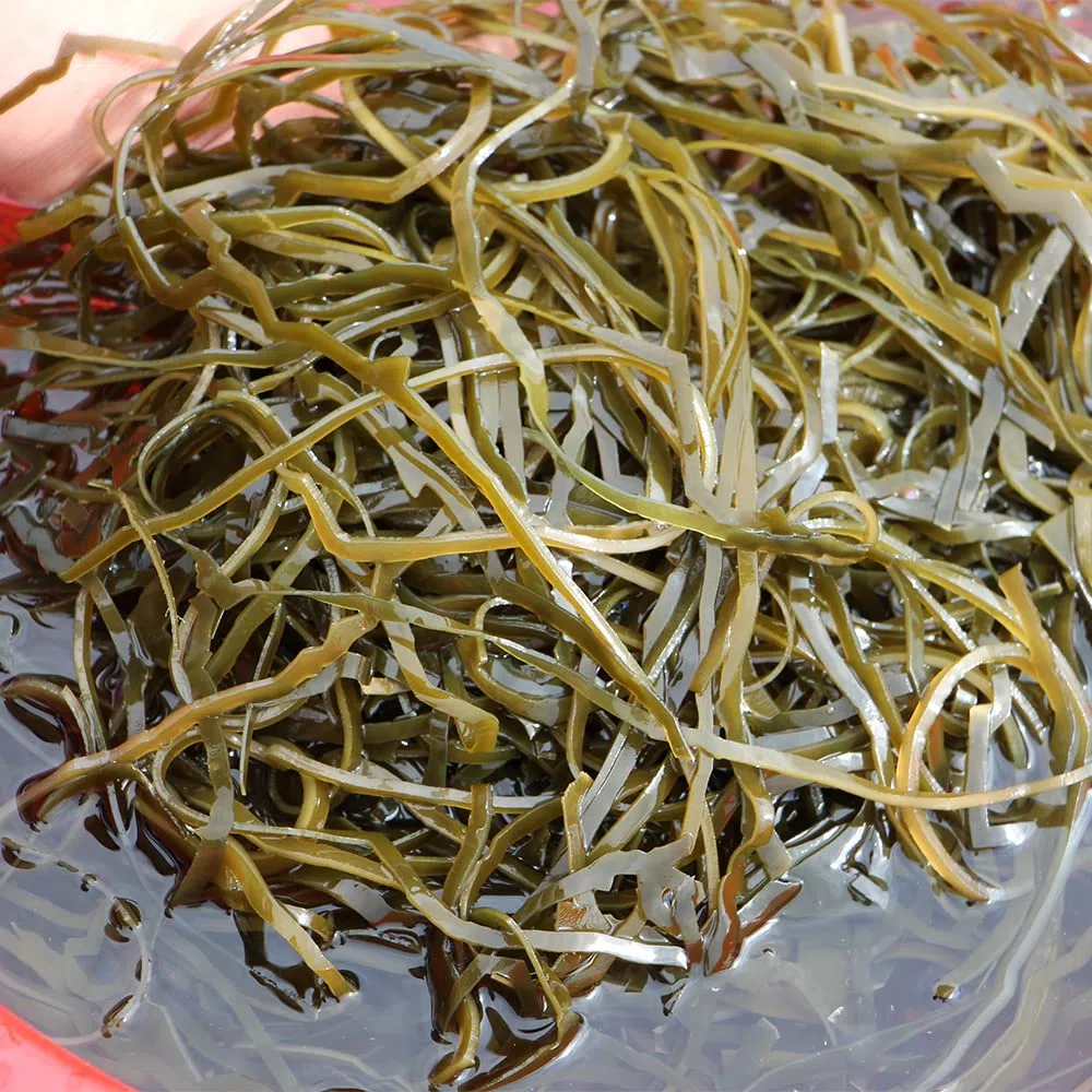 Bandes de varech séchées au soleil, 50 g