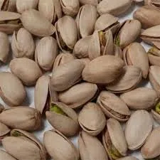 Pistaches USA Crues 21/26 - Format Standard de Californie au Naturel - Carton de 10kg
