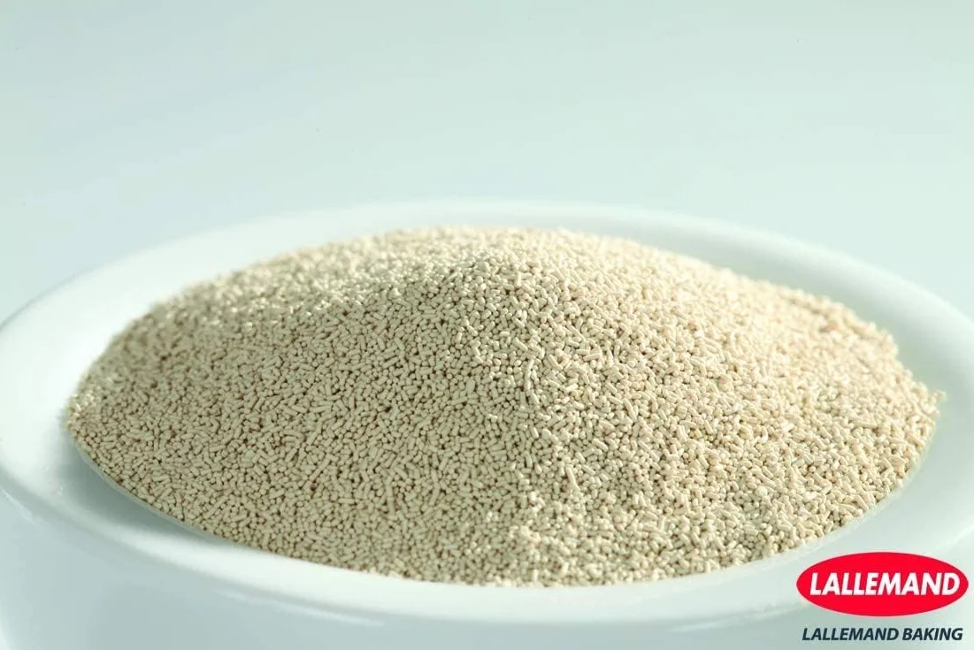Lallemand Levure sèche de boulanger pour pâtes sucrées (500g) Sans gluten - Vegan - Kasher & Halal