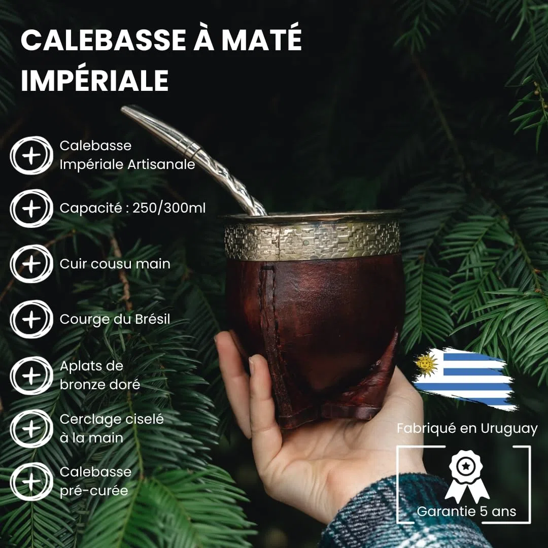 YVY MATÉ Kit Maté Impérial | Pack Calebasse Impériale, Bombilla Ciselée et 1 poche de Yerba Mate Vert Bio 500g | Ensemble Complet pour Amateur averti | Fabrication Artisanale en Uruguay