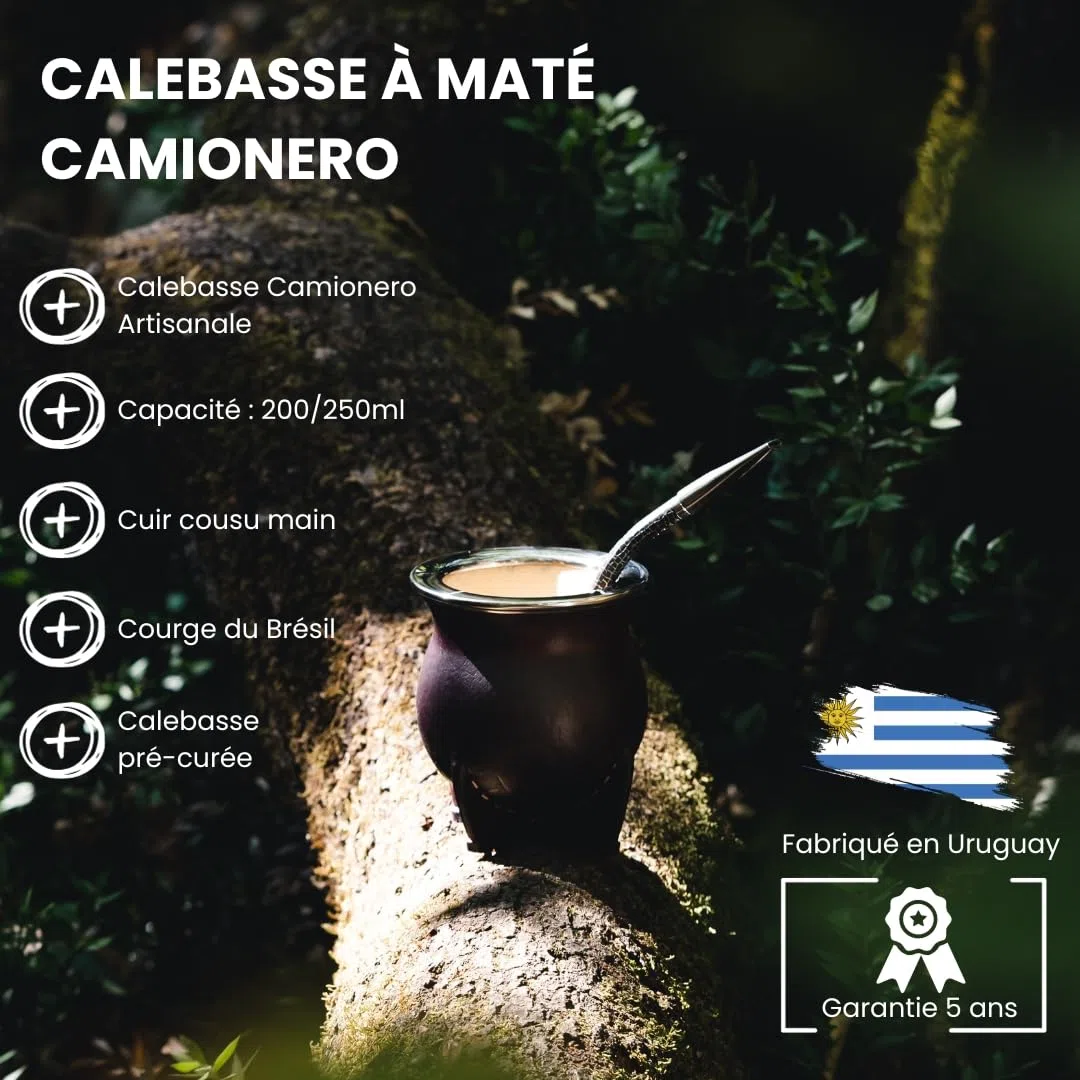 YVY Maté Calebasse à maté Camionero Alpaca et Bronze | Calebasse artisanale environ 200ml | Cerclage en Alpaca et Bronze | Fabriquée à la main en Uruguay | Cuir lisse couleur ocre