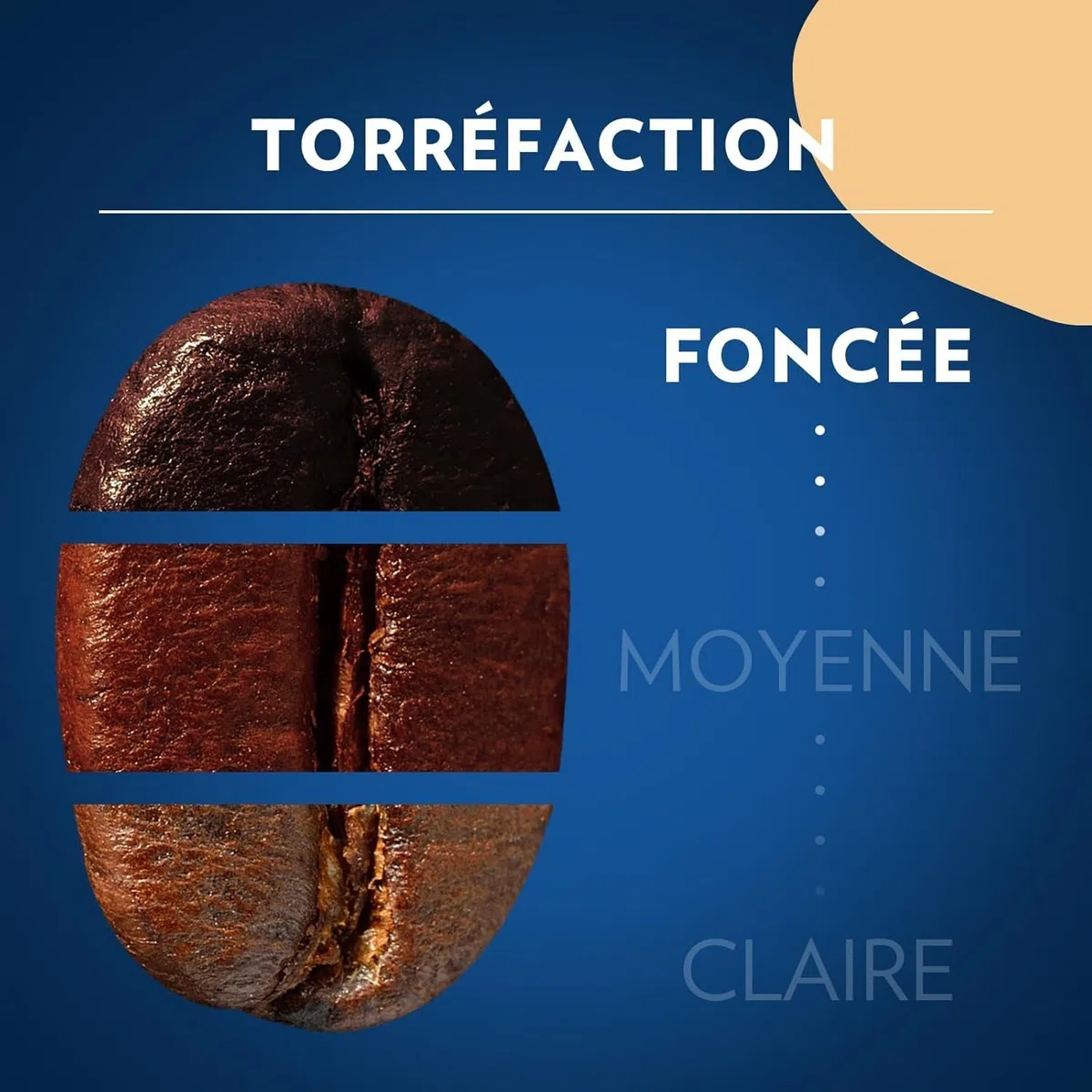 Lavazza - Lot de 6Kg de café en grain Momento Dolce - Idéal pour les Machines à Café Automatiques, avec Notes de Chocolat, Arabica et Robusta, Intensité 7/10, Torréfaction Moyenne